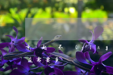 京東起訴不應(yīng)訴(京東起訴到開庭需要多長時間)