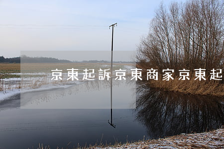 京東起訴京東商家(京東起訴嗎)
