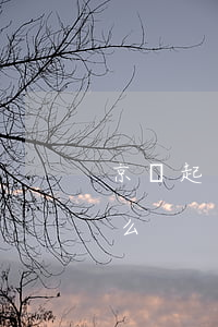 京東起訴到為什么是哈爾濱(京東起訴是真的么)