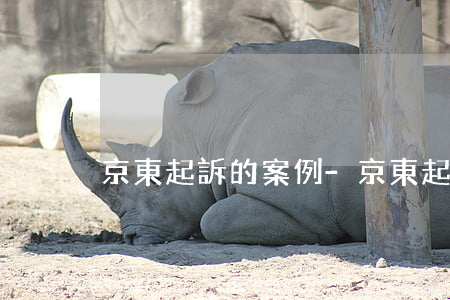 京東起訴的案例-京東起訴的案例
