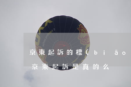 京東起訴的標(biāo)準(zhǔn)(京東起訴是真的么)