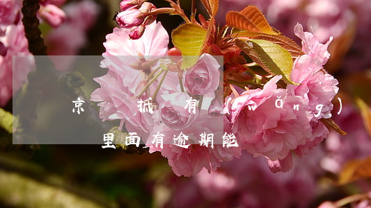 京東車抵貸有網(wǎng)貸能過嗎（在京東里面有逾期能車貸嗎）