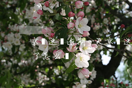 京東送貨逾期一天(京東送貨超時(shí)了怎么辦)
