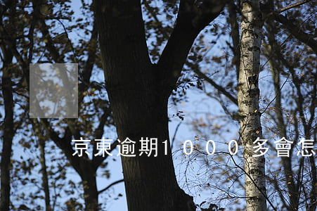 京東逾期1000多會怎么樣
