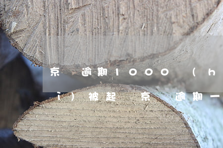 京東逾期1000會(huì)不會(huì)被起訴 京東逾期一個(gè)多月要起訴我 各項(xiàng)費(fèi)用都是我的怎辦