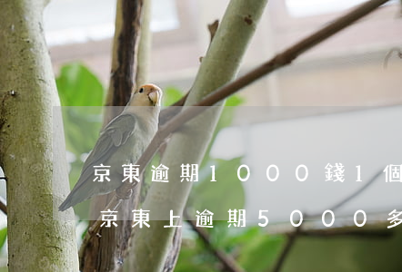 京東逾期1000錢1個(gè)月后果-京東上逾期5000多兩個(gè)月會(huì)不會(huì)被起訴