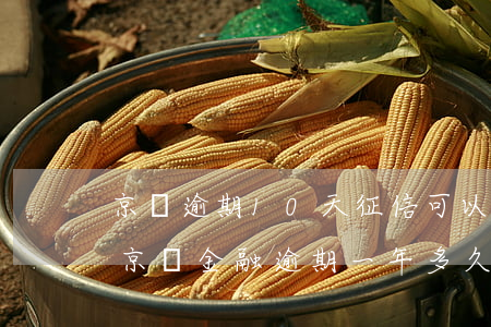 京東逾期10天征信可以恢復(fù)嗎-京東金融逾期一年多久可以刷新征信