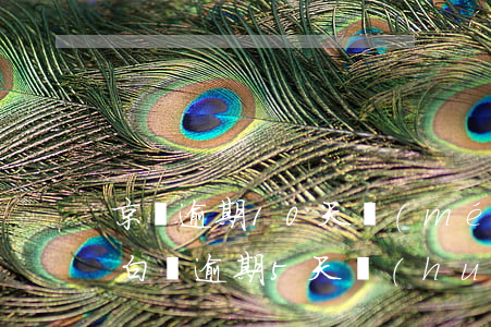 京東逾期10天沒(méi)上征信-京東白條逾期5天會(huì)上征信嗎