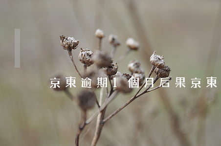 京東逾期1個月后果(京東逾期1個月后果)