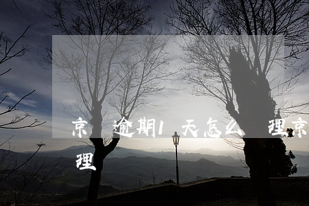 京東逾期1天怎么處理(京東逾期1天怎么處理)