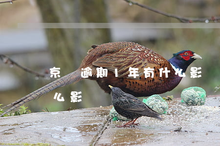 京東逾期1年有什么影響(京東逾期1年有什么影響)