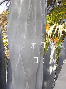 京東逾期20000起訴-京東欠了三千多會(huì)被起訴嗎 逾期兩年
