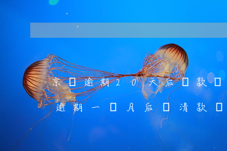 京東逾期20天后還款會上征信嗎(京東金融逾期一個月后還清款,會恢復征信嗎)