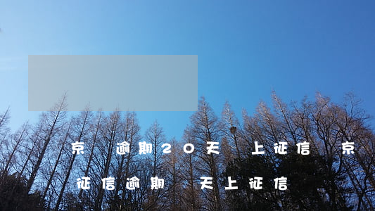 京東逾期20天會上征信嗎(京東逾期多久上征信?逾期幾天上征信)