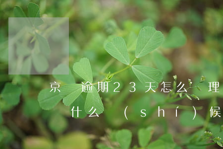京東逾期23天怎么處理-京東逾期3天,己還,什么時(shí)候能恢復(fù)正常使用