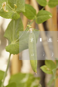 京東逾期3000元一個(gè)月會(huì)怎樣-京東逾期3000元一個(gè)月會(huì)怎樣處罰