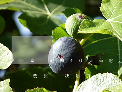 京東逾期30天有啥后果 京東逾期三十天說要起訴我 是真的嗎