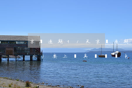 京東逾期31天 京東逾期31天說(shuō)要上門,具體車顏色都有