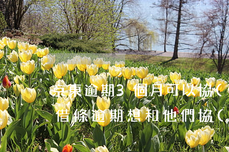 京東逾期3個月可以協(xié)商嗎(京東借條逾期,想和他們協(xié)商說到月底還不同意怎么辦)