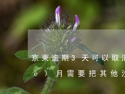 京東逾期3天可以取消嗎(京東逾期2個(gè)月,需要把其他沒(méi)有逾期的也要還嗎)