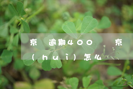 京東逾期400塊錢(京東逾期400塊錢會(huì)怎么樣)