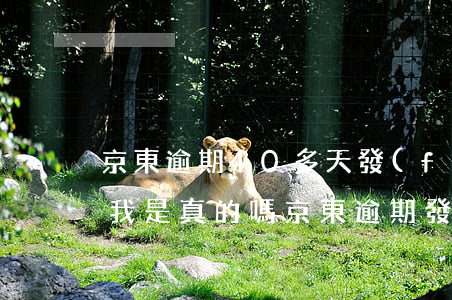 京東逾期40多天,發(fā)短信說要起訴我,是真的嗎（京東逾期發(fā)短信應(yīng)訴）