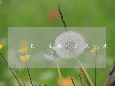 京東逾期45天-京東逾期45天