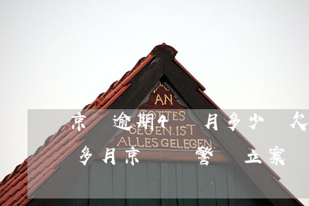 京東逾期4個月多少錢(欠京東4萬,逾期三個多月,京東報警,會立案嗎)