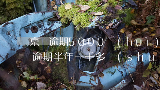 京東逾期5000會(huì)上門嗎(京東逾期半年一千多說(shuō)上門真的假的?)