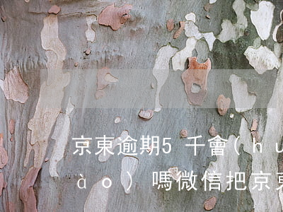 京東逾期5千會(huì)分享微信號(hào)嗎 微信把京東分享禁了