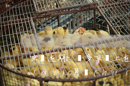 京東逾期5萬多(京東上逾期5000多兩個(gè)月會(huì)不會(huì)被起訴)