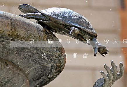 京東逾期60多天,今天京東快遞說有我的快遞（京東逾期寄單）