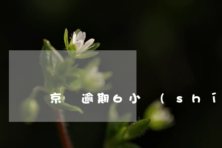京東逾期6小時(shí)