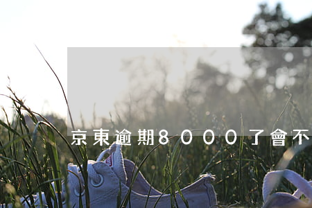 京東逾期8000了會不會上門