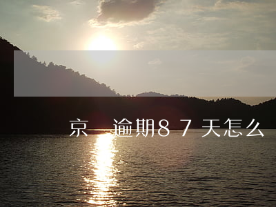 京東逾期87天怎么辦(京東逾期87天怎么辦)
