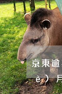 京東逾期8個(gè)月(京東逾期8個(gè)月)