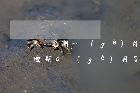 京東逾期一個(gè)月法院起訴(京東金融逾期6個(gè)月了,會(huì)不會(huì)被起訴)