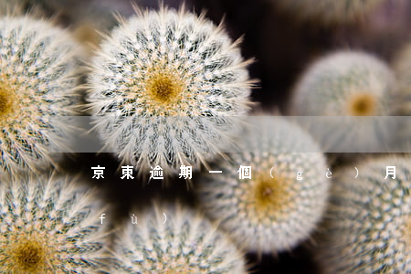 京東逾期一個(gè)月被降額怎么恢復(fù)
