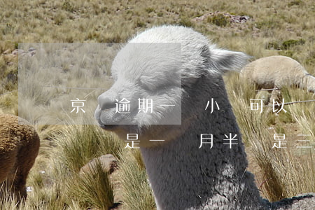 京東逾期一個小時可以嗎(京東一般逾期多長時間是一個月半還是三個月)
