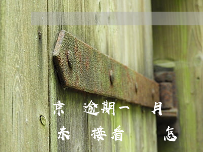 京東逾期一個月沒錢還(京東借錢逾期一個月未還接看還該怎樣處理)