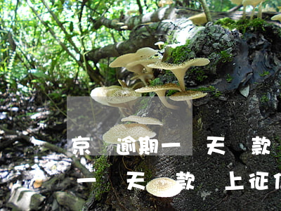 京東逾期一兩天還款會上征信嗎-京東逾期一兩天還款會上征信嗎知乎