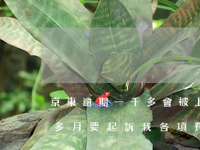 京東逾期一千多會被上起訴嗎(京東逾期一個多月要起訴我 各項費用都是我的怎辦)