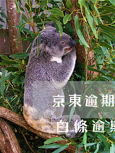 京東逾期一天可以取現(xiàn)嗎(京東白條逾期八天還清后多久可以取現(xiàn))