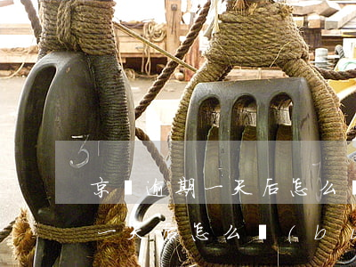 京東逾期一天后怎么補(bǔ)救(京東逾期一天后怎么補(bǔ)救)