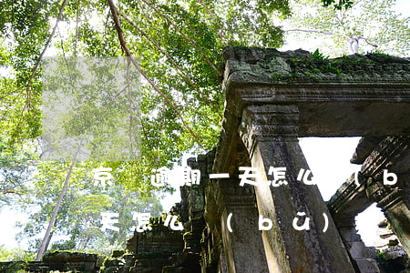 京東逾期一天怎么補(bǔ)救(京東逾期一天怎么補(bǔ)救)