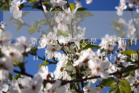 京東逾期一天是不是所有的金融產(chǎn)品都帶不了（有逾期的能開通京東金融嗎）