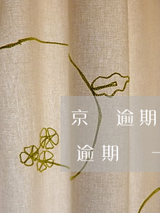 京東逾期一天現(xiàn)在借不了(京東逾期過一次一天 還完后還能借嗎)