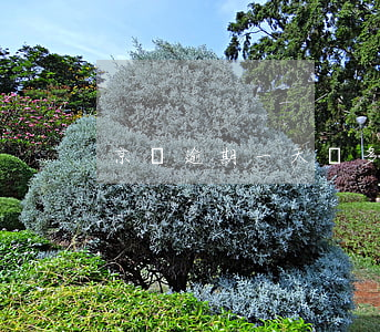 京東逾期一天罰多少(京東逾期一天罰多少)