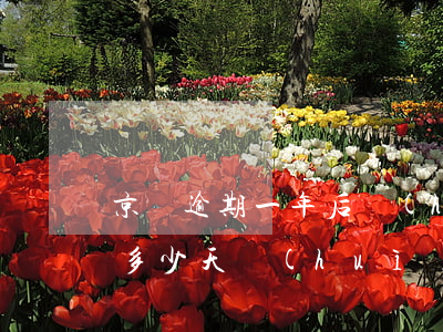 京東逾期一年后會(huì)怎樣(京東逾期多少天會(huì)起訴,我已經(jīng)還了2000多)