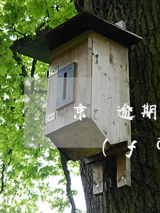 京東逾期一期要求全額還款(京東逾期幾天就發(fā)短信后必須全額還款)
